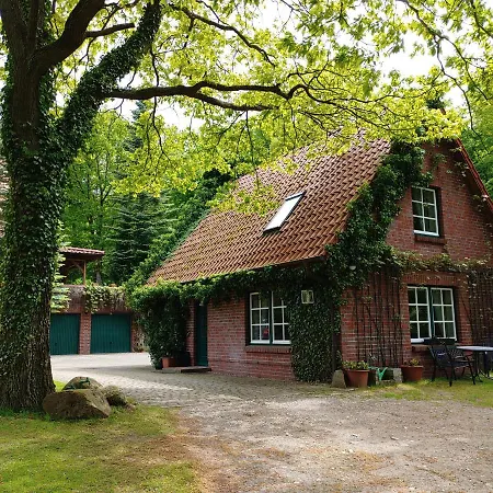 Feriehus 4 Sterne-haus Am Waren (Mueritz)