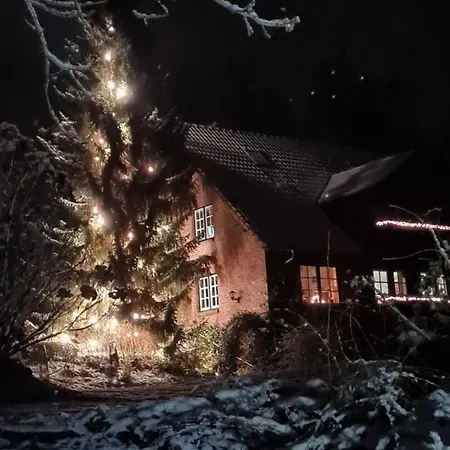 Feriehus 4 Sterne-haus Am