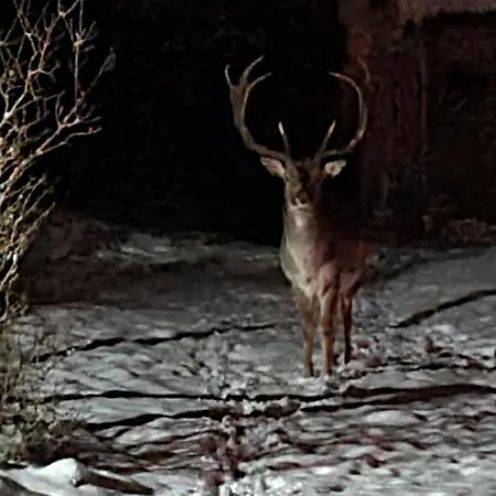 4 Sterne-haus Am Casa de Férias Waren (Mueritz)