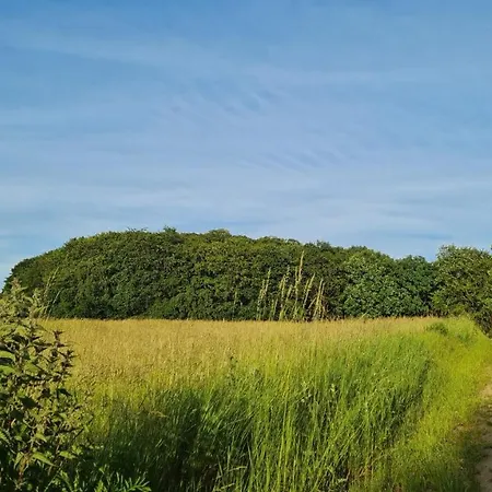 Ferienhaus 4 Sterne-haus Am Waren (Müritz)