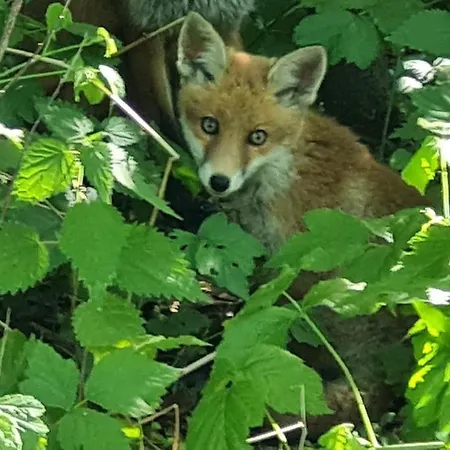 4 Sterne-haus Am Waren (Mueritz)