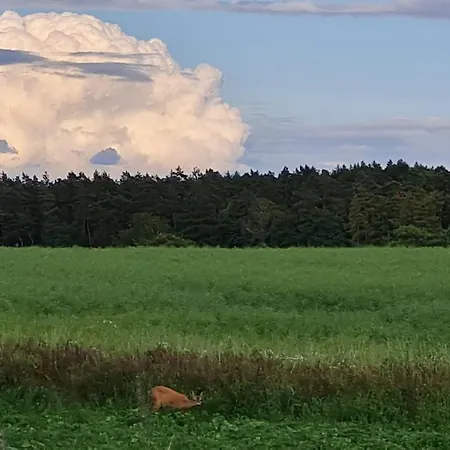 4 Sterne-haus Am Casa de Férias